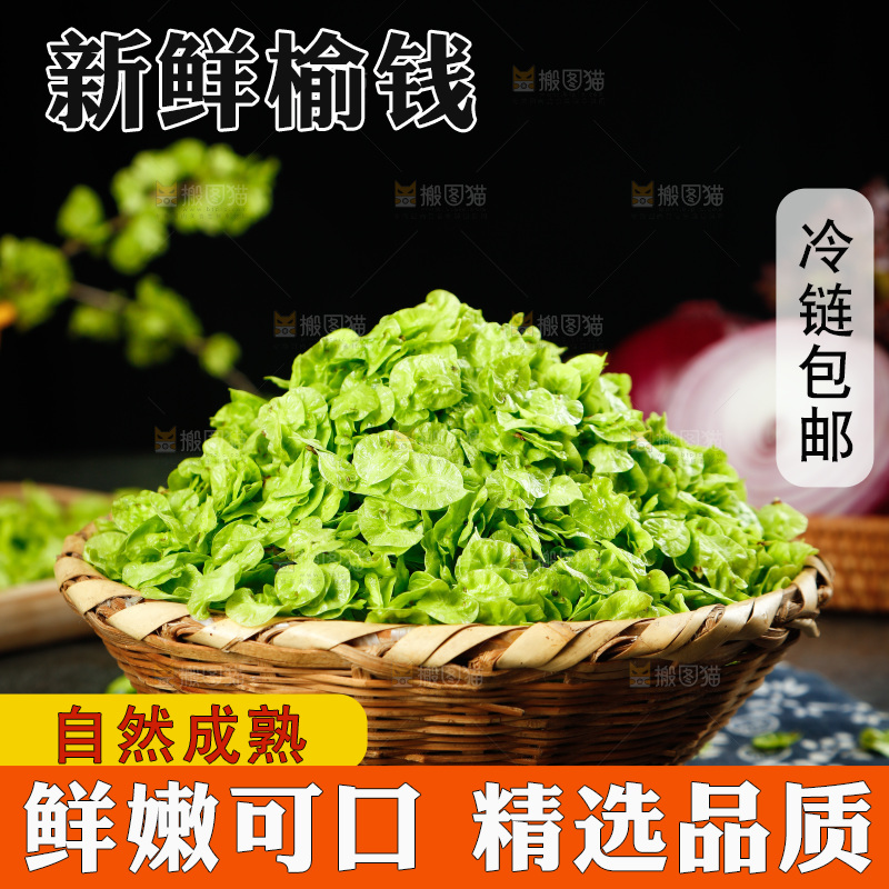 一篮野生榆钱