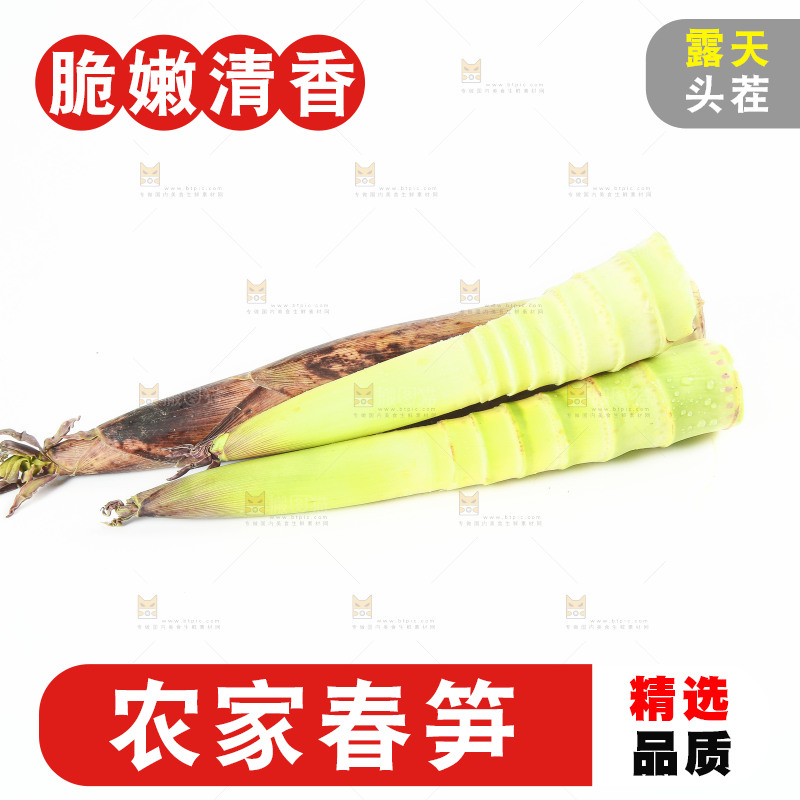 白底上摆放着春雷笋