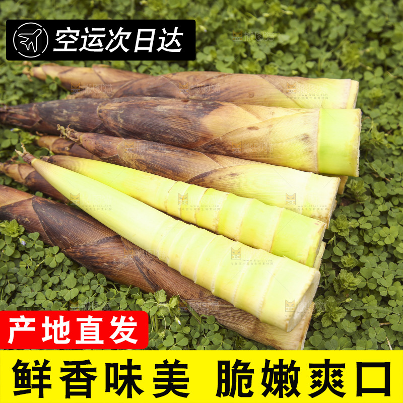 一堆临安春雷笋