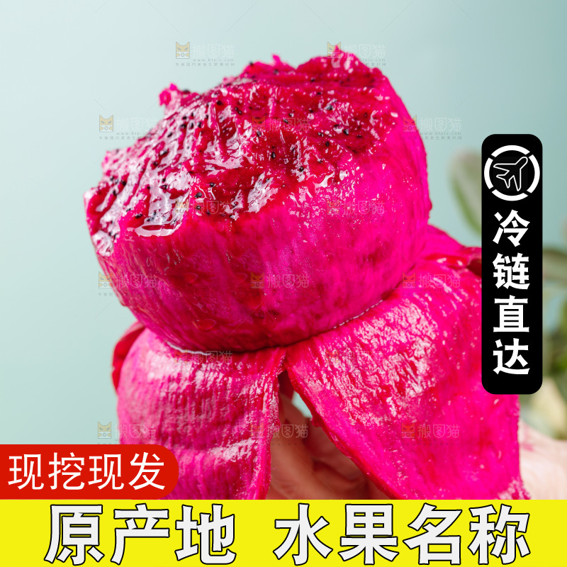 手里拿着红心火龙果
