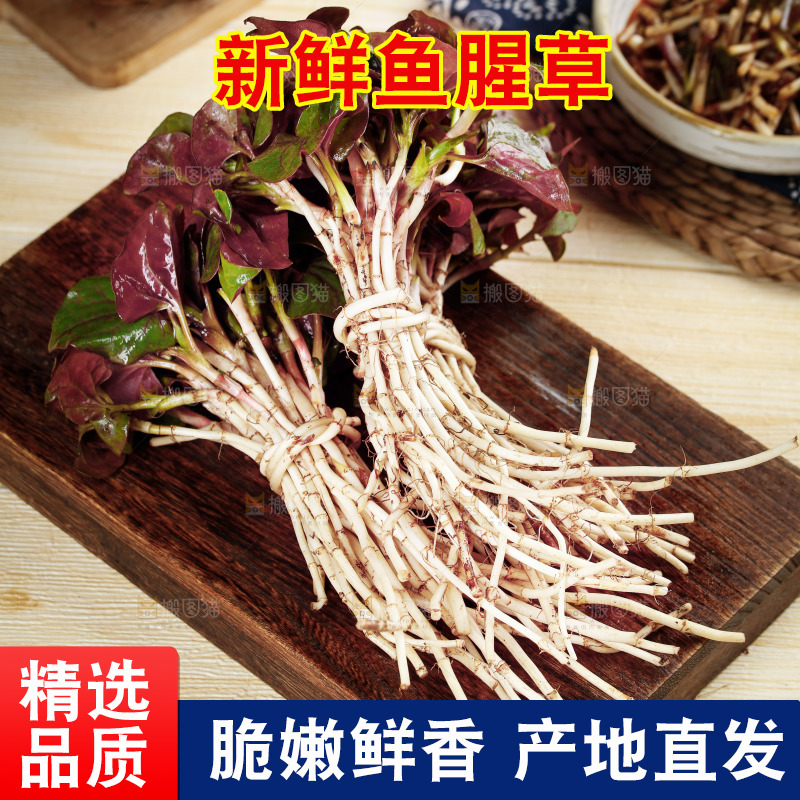 木底上放着新鲜折耳根