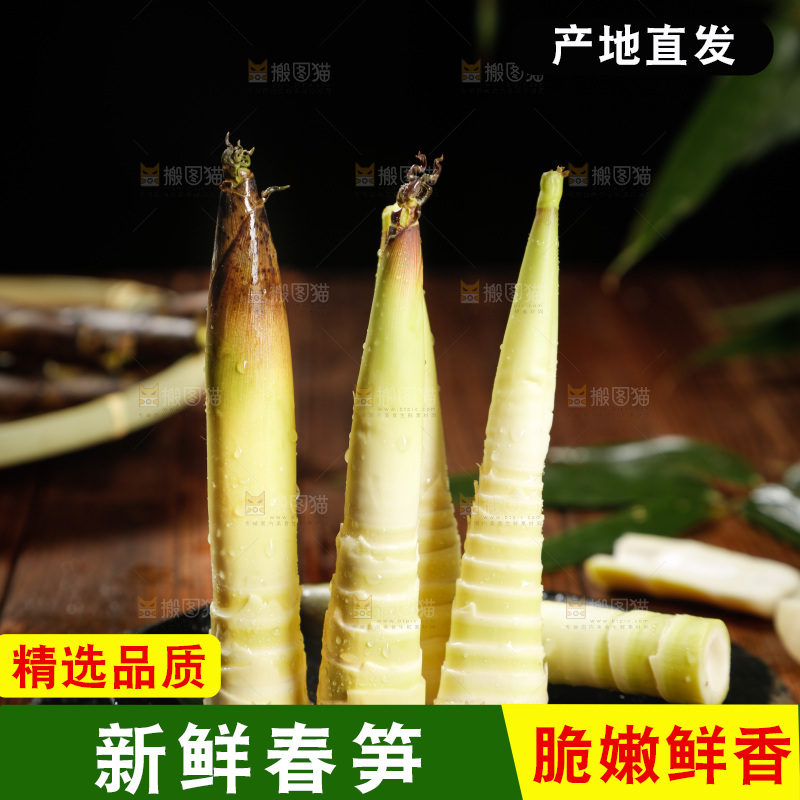 一盘临安春笋
