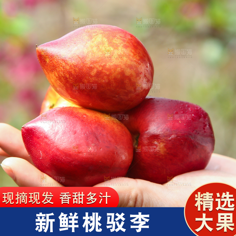 手里捧着新鲜桃驳李