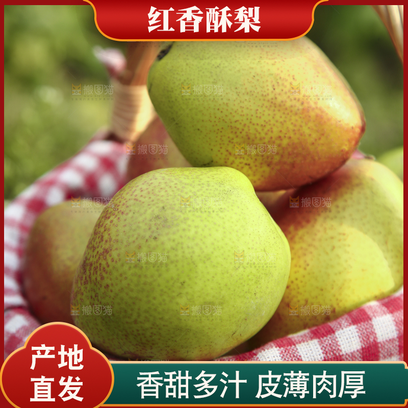 一篮新鲜红香酥梨