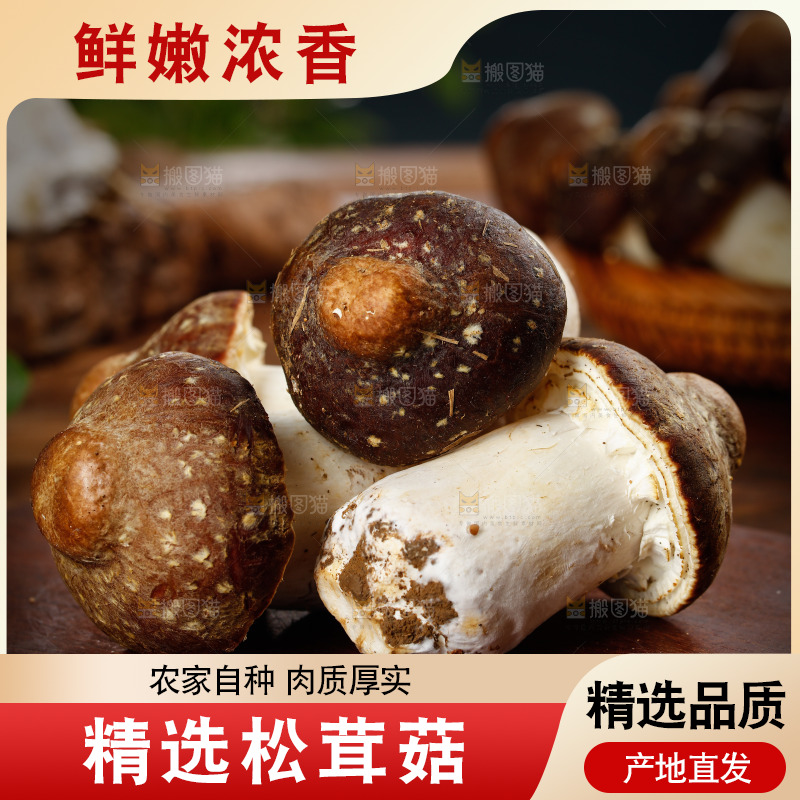 木板上放着松茸菇