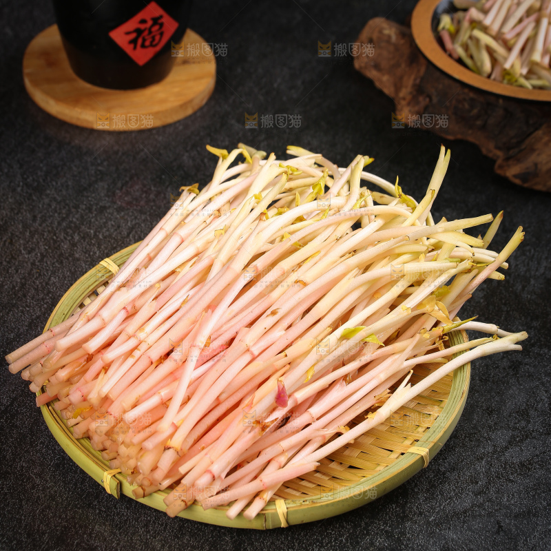 一篮鱼腥草嫩尖