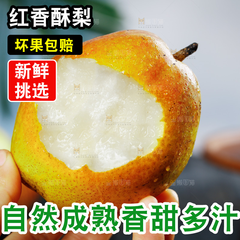 手里拿着红酥梨