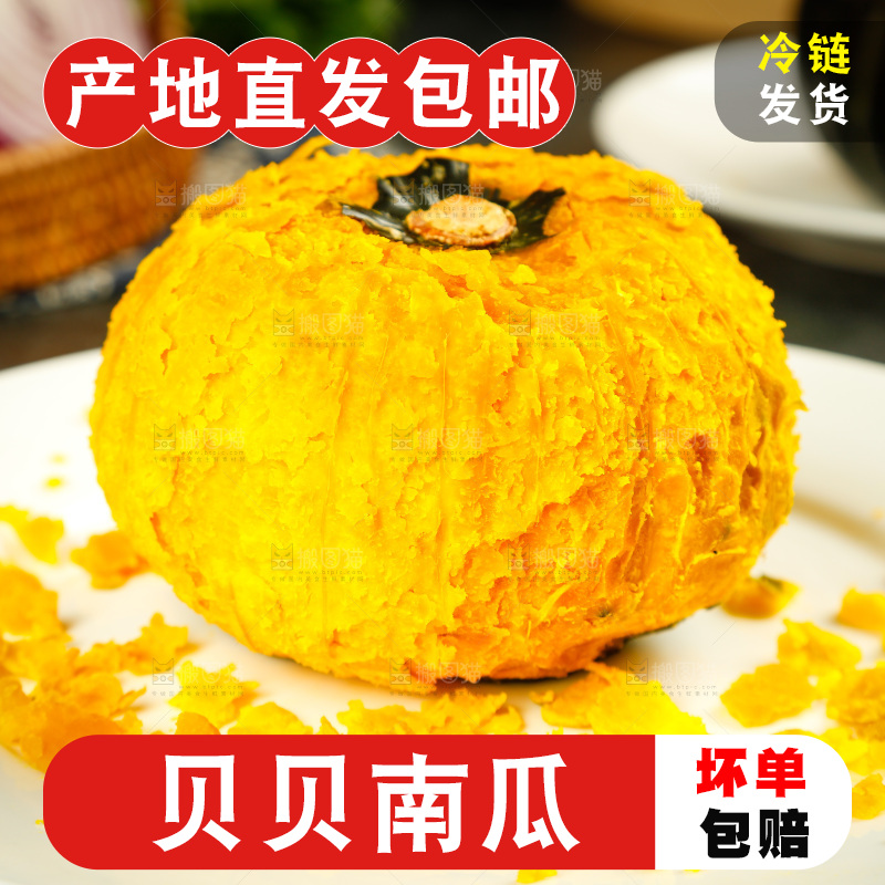 盘子里的贝贝小南瓜