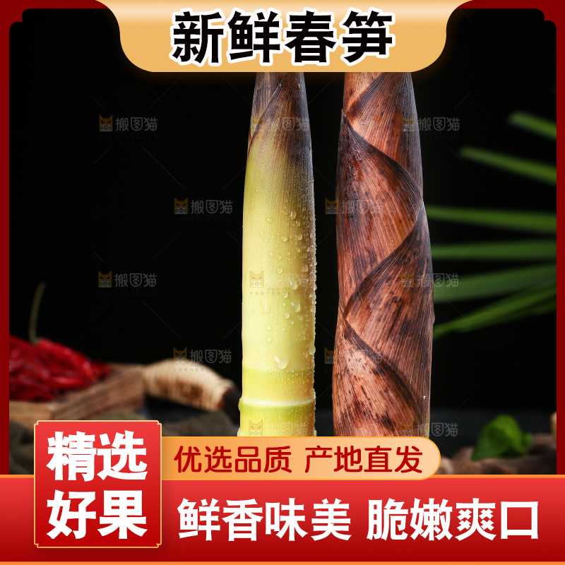 木底上的雷竹笋