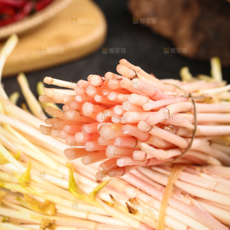 一堆折耳根嫩芽