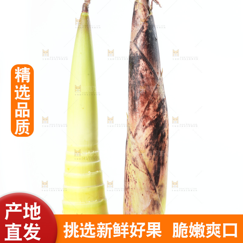 白底上摆放着春雷笋