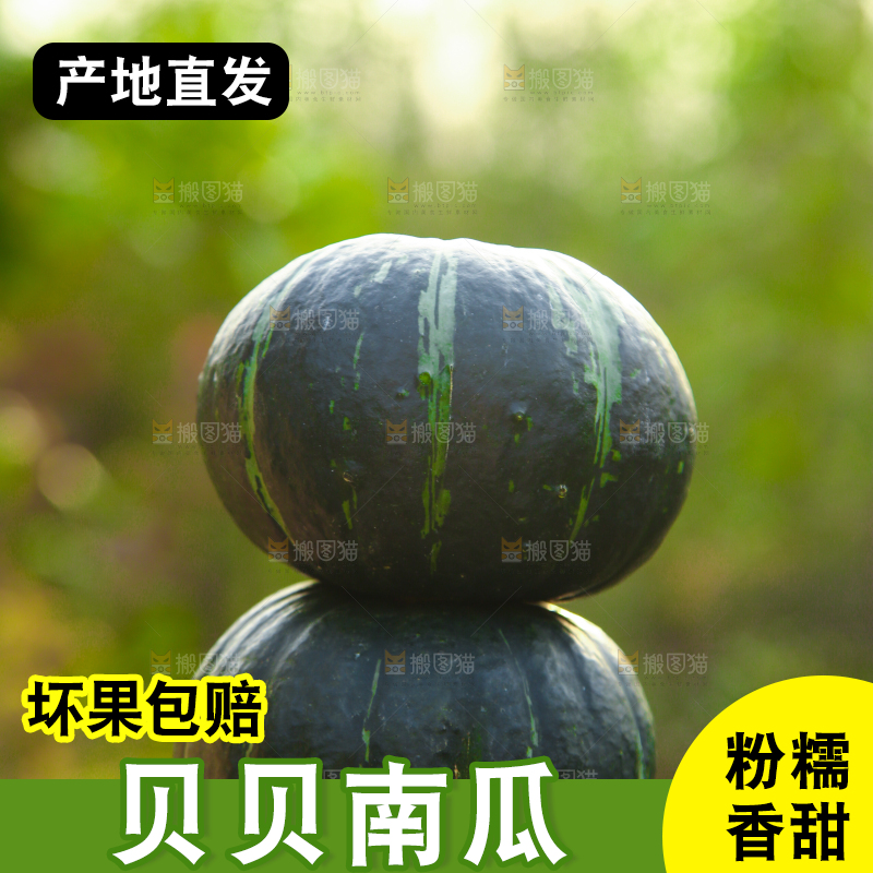 手里拿着贝贝小南瓜