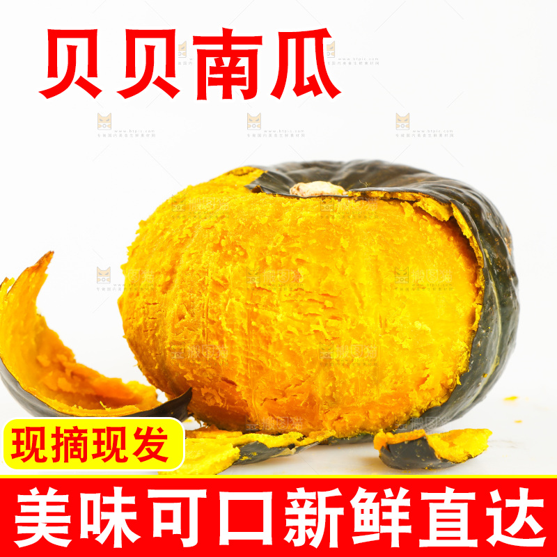 白底上的贝贝小南瓜