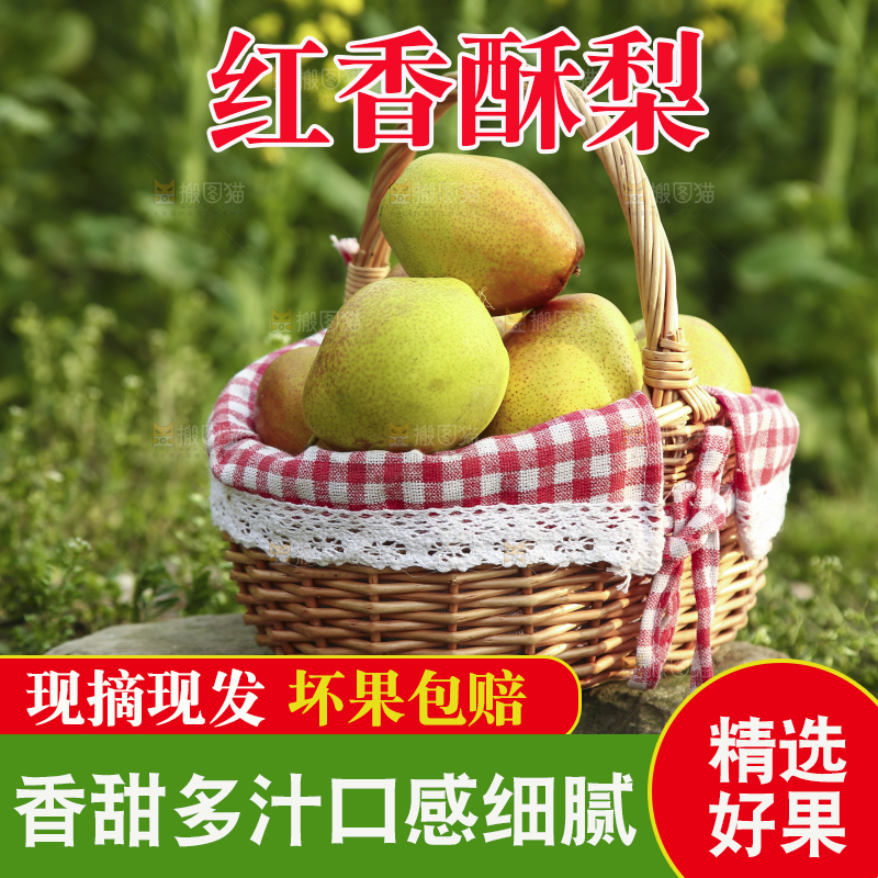 一篮新鲜红香酥梨