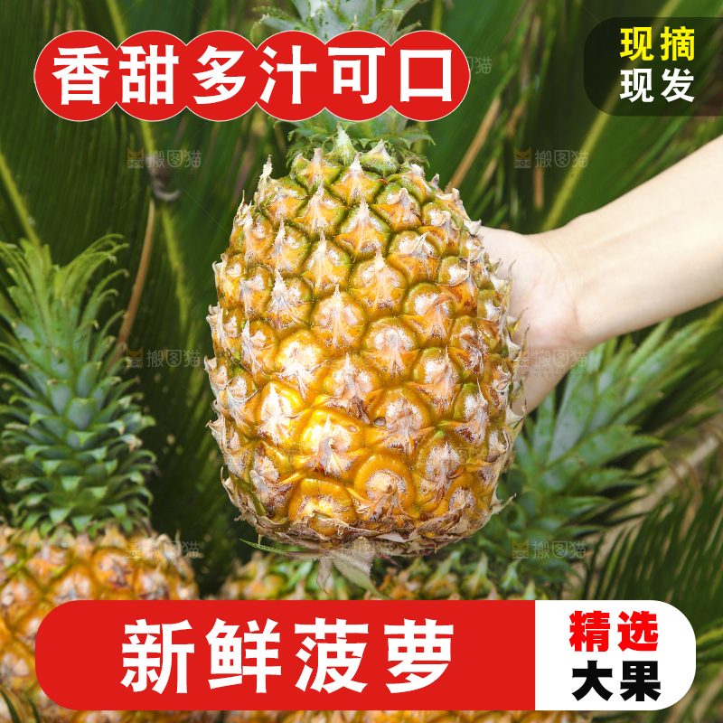 手里拿着菠萝