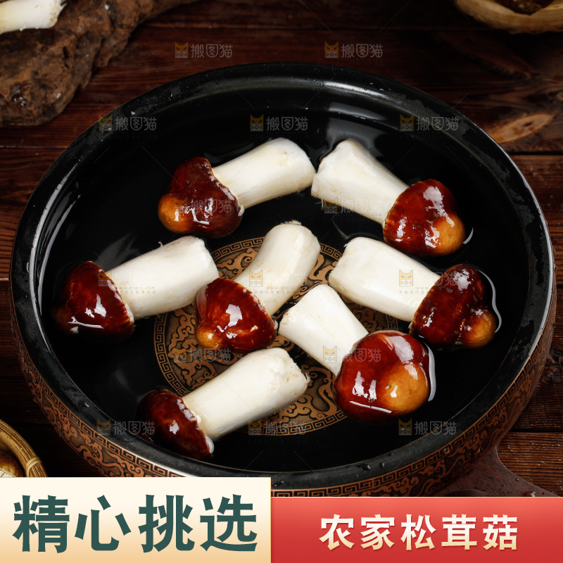 碗里泡着松茸菇