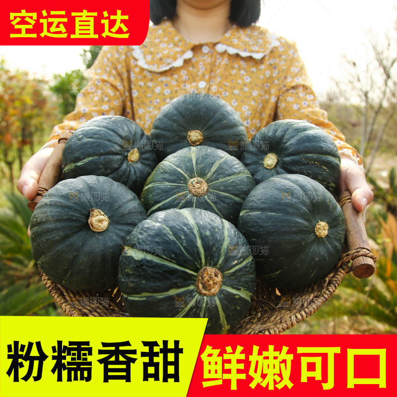 手里端着一篮贝贝南瓜