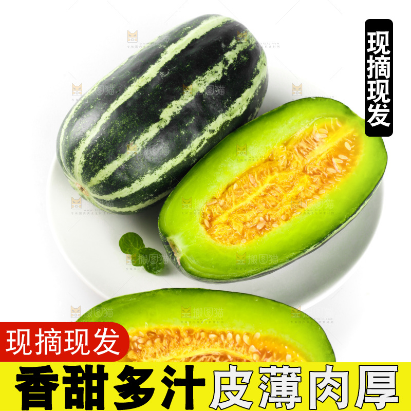 盘子里装着博洋9号