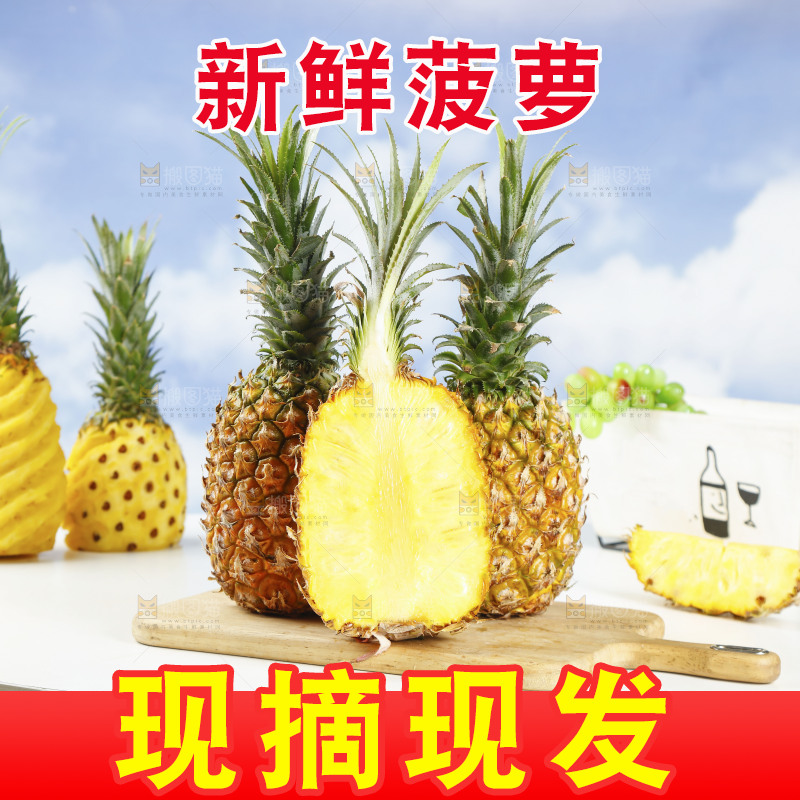 木底上的广东徐闻菠萝