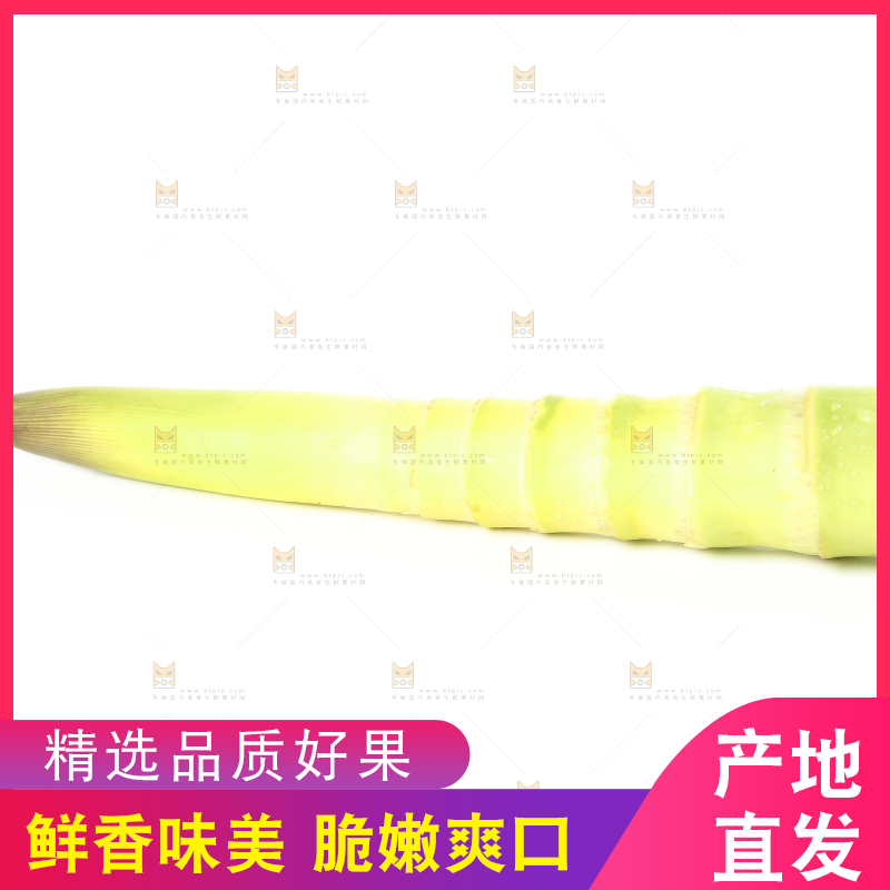 白底上摆放着春雷笋