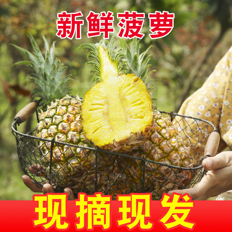 手里端着一篮香水菠萝