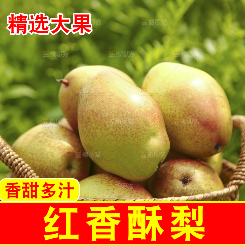 一篮新鲜红香酥梨