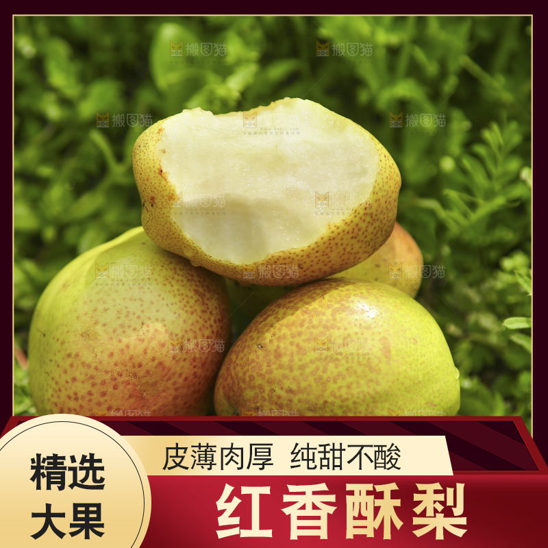 新鲜的红香酥梨
