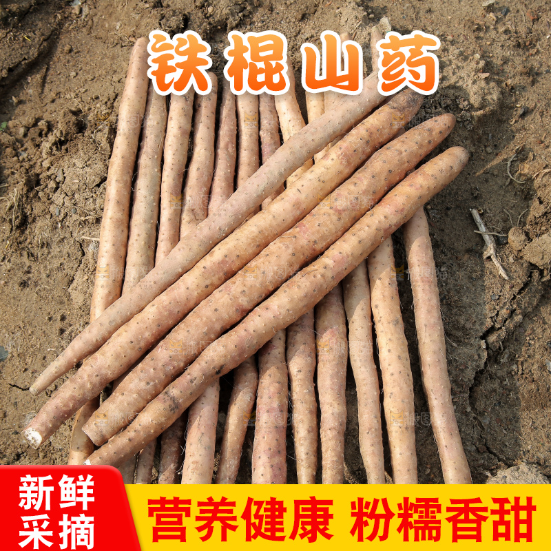 一堆新鲜铁棍山药