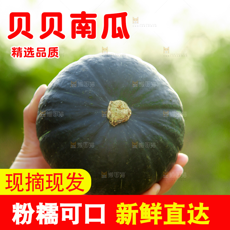 手里拿着贝贝小南瓜