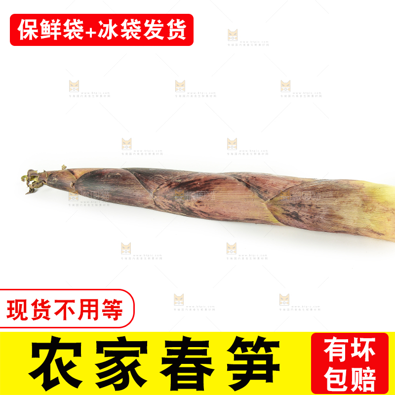 白底上摆放着春雷笋
