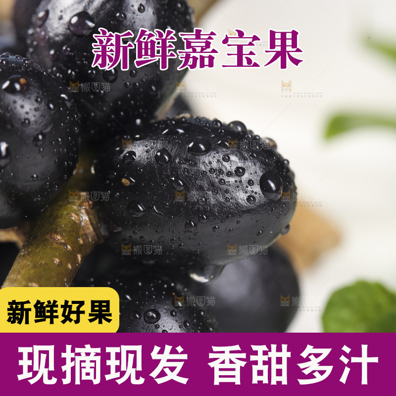 新鲜的嘉宝果树葡萄