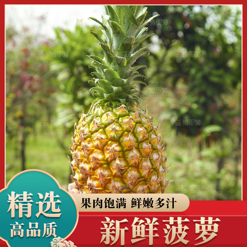 手里拿着菠萝