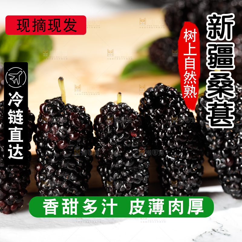 浅底上的桑枣