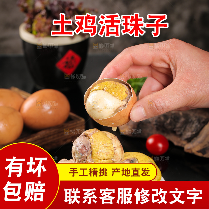 手里拿着凤凰蛋