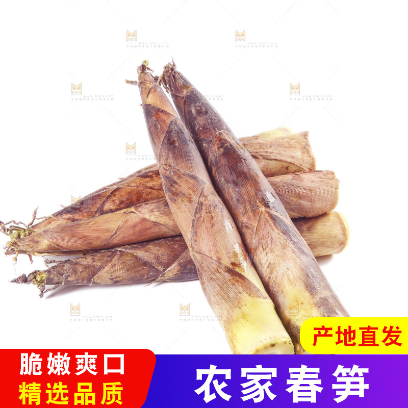 白底上放着一堆春笋