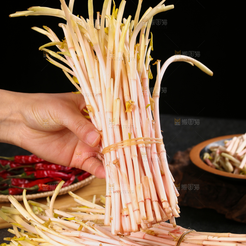 手里拿着折耳根嫩芽