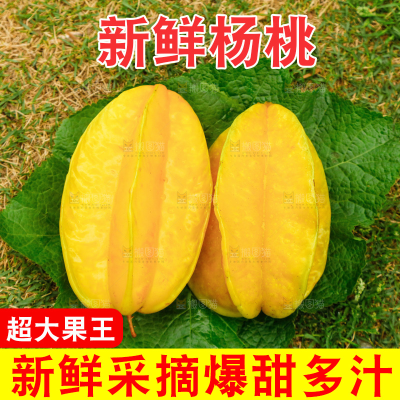 叶子上放着杨桃