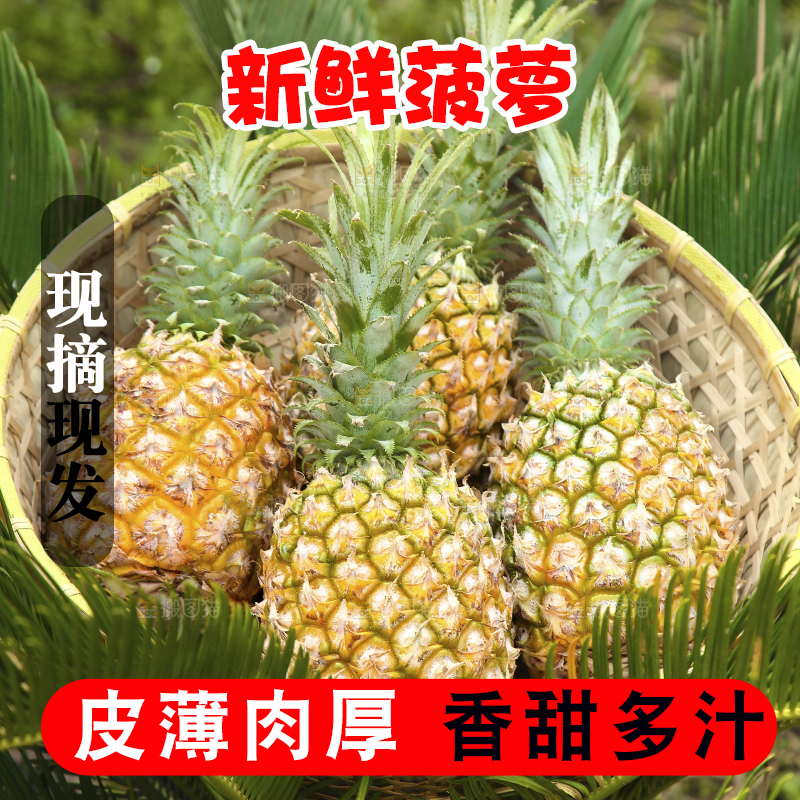一篮新鲜菠萝