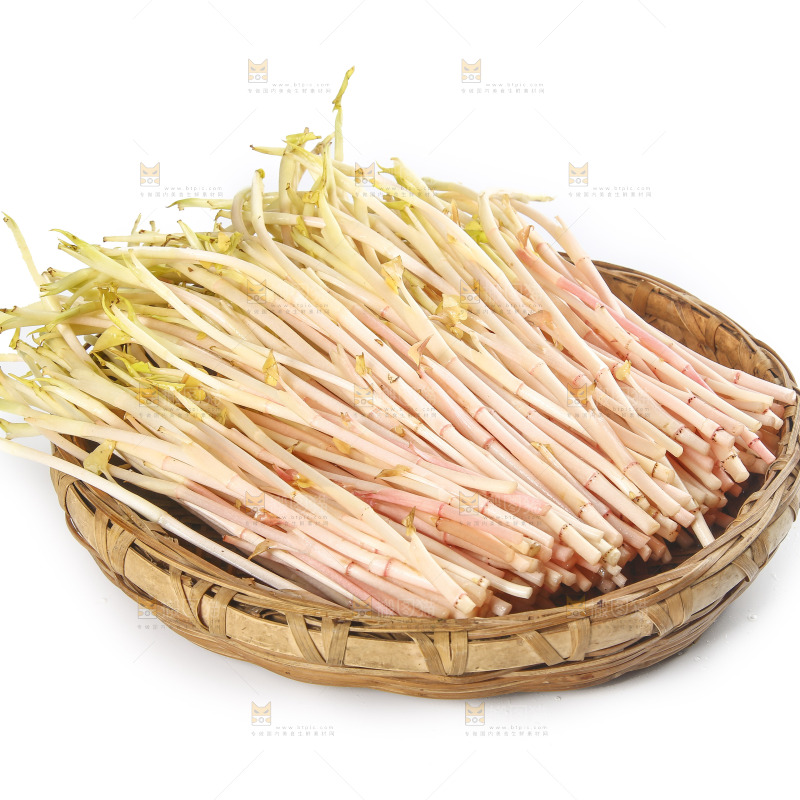 一篮折耳根嫩芽