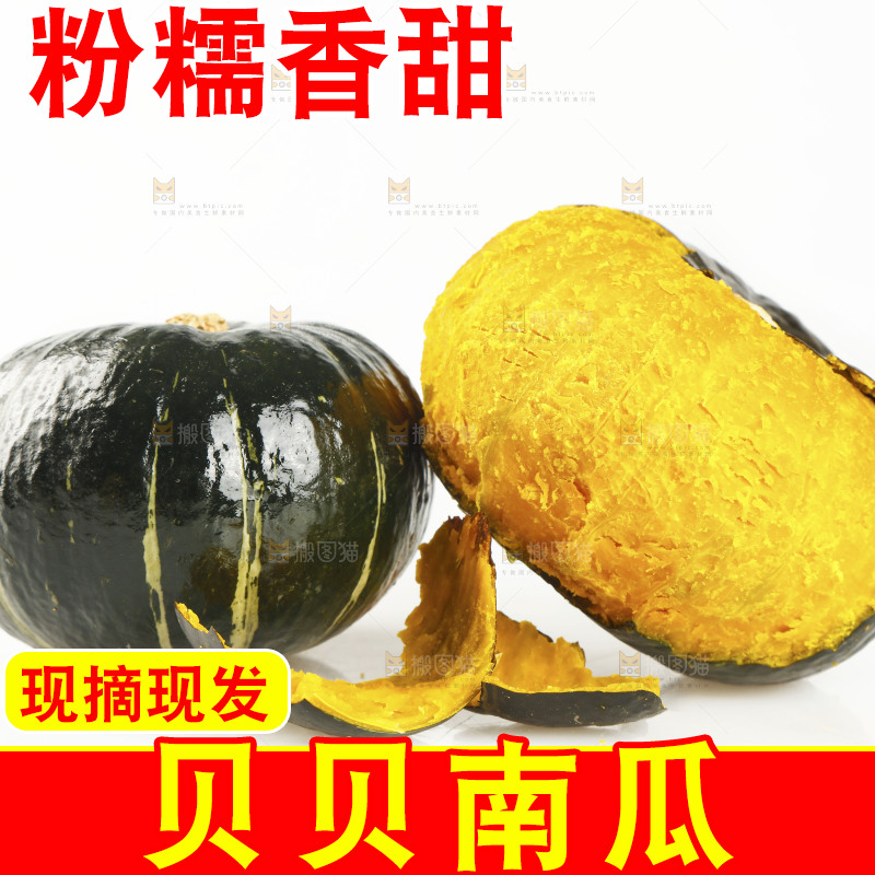 白底上的贝贝小南瓜