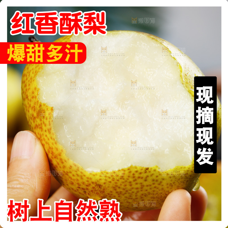手里拿着红酥梨