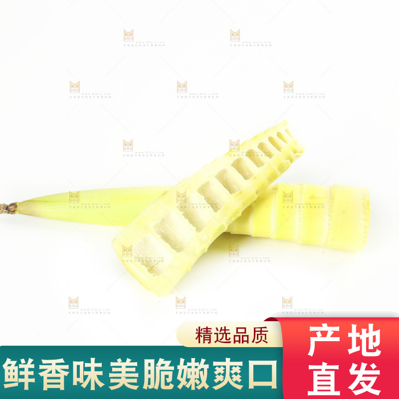 白底上的竹笋