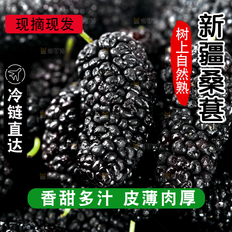 一堆新鲜桑葚
