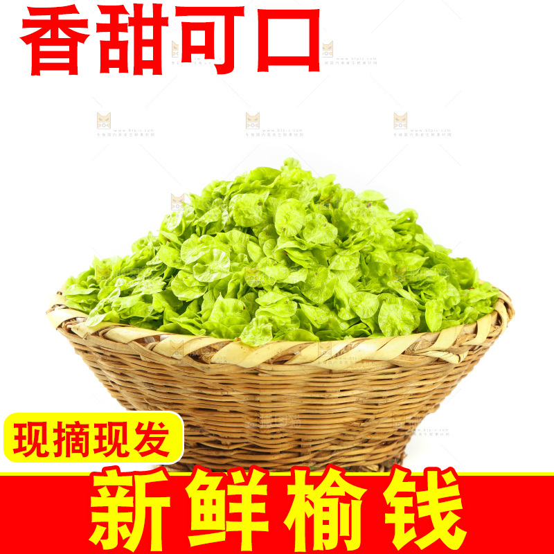 一篮野生榆钱