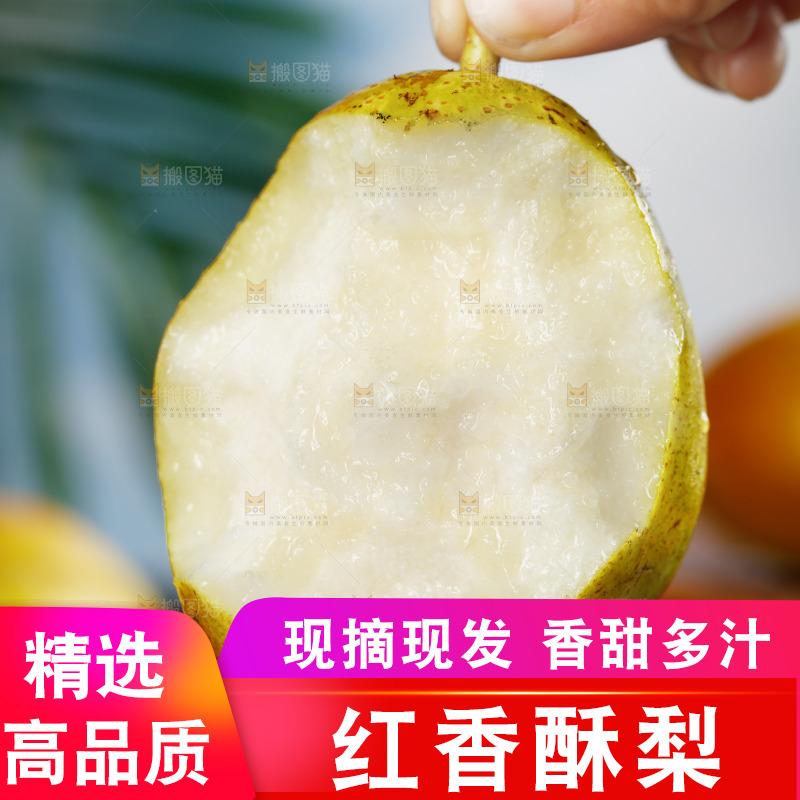 手里拿着红酥梨