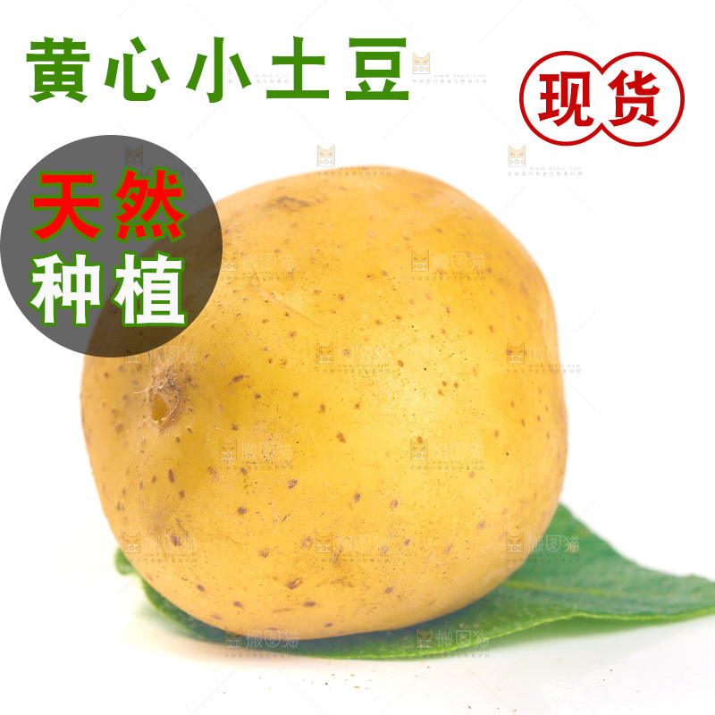 白底上的小土豆
