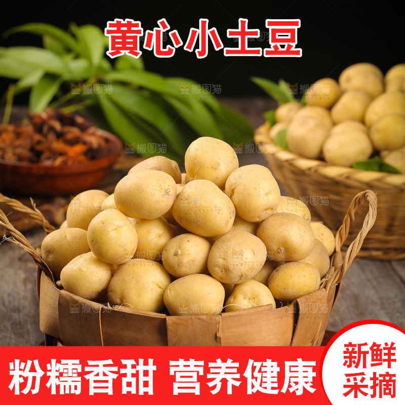 一篮黄皮小土豆