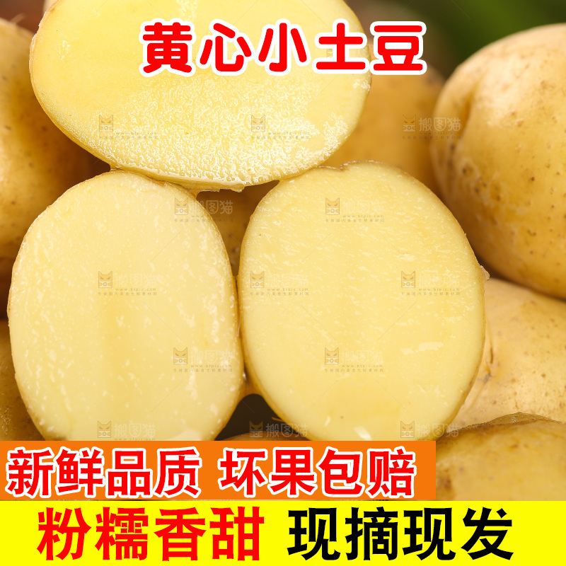 一堆黄心小土豆