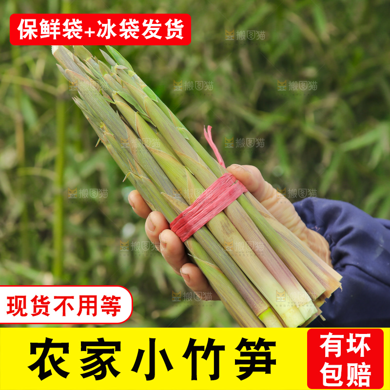 手里拿着小竹笋