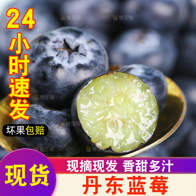 勺子上舀着云南蓝莓